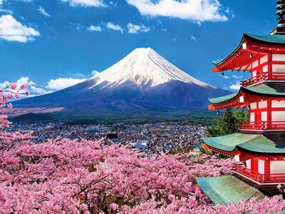 CUNG ĐƯỜNG VÀNG NHẬT BẢN 2025