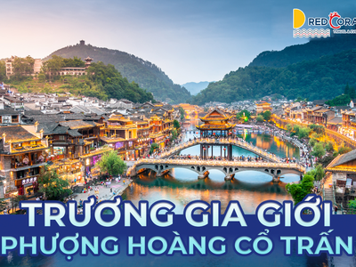 KHÁM PHÁ TRƯƠNG GIA GIỚI - PHƯỢNG HOÀNG