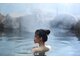 KHÁM PHÁ NHẬT BẢN DỊP LỄ