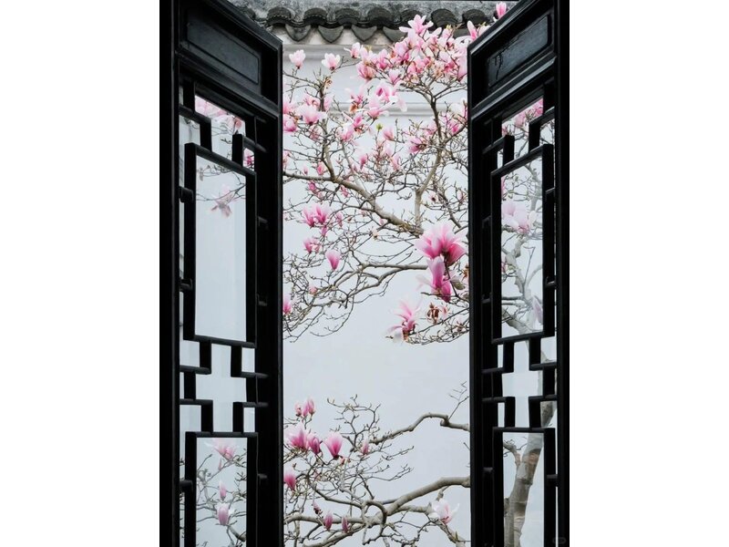 THƯỢNG HẢI - HÀNG CHÂU - Ô TRẤN