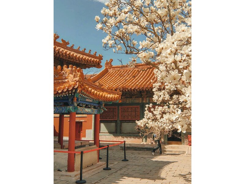 THƯỢNG HẢI - HÀNG CHÂU - Ô TRẤN