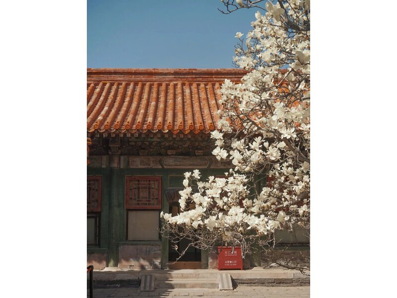 CHƯƠNG TRÌNH TRƯỢT TUYẾT: THƯỢNG HẢI - HÀNG CHÂU - TÔ CHÂU - BẮC KINH