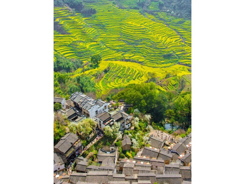 NGHI XƯƠNG - VỤ NGUYÊN -  VỌNG TIÊN CỐC - CẢNH ĐỨC TRẤN