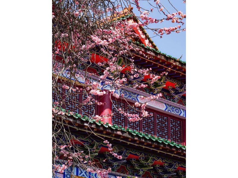 CHƯƠNG TRÌNH TRƯỢT TUYẾT: THƯỢNG HẢI - HÀNG CHÂU - TÔ CHÂU - BẮC KINH
