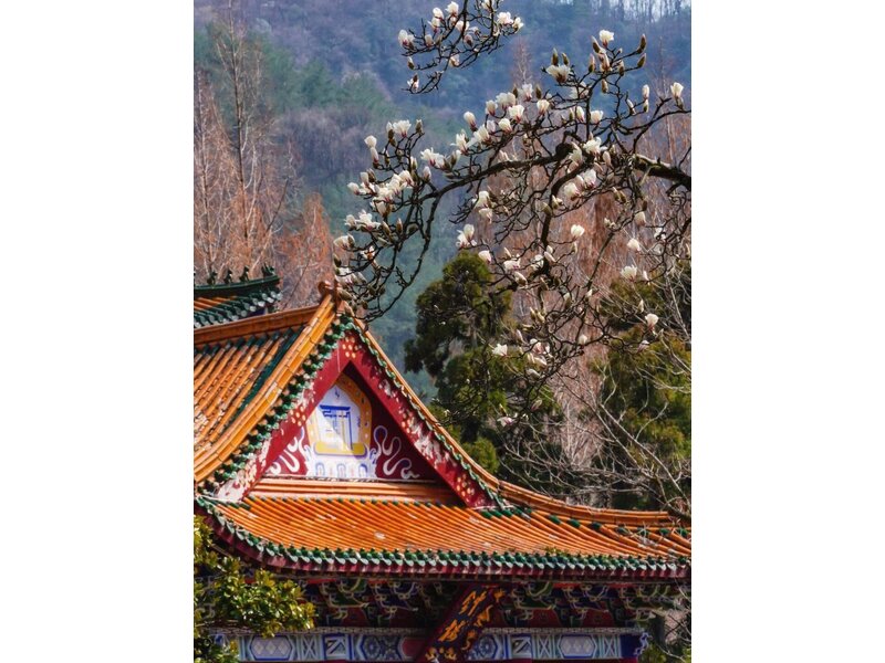 THƯỢNG HẢI - HÀNG CHÂU - Ô TRẤN