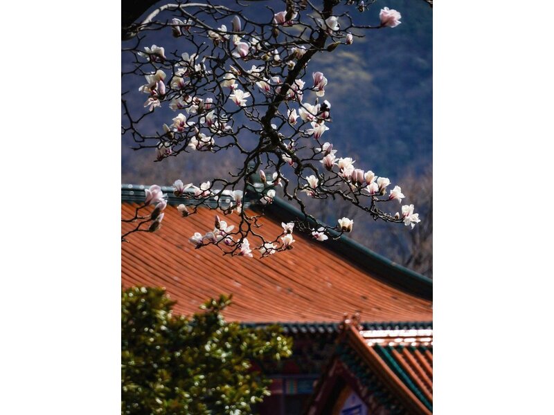 BẮC KINH – HÀNG CHÂU – Ô TRẤN – THƯỢNG HẢI