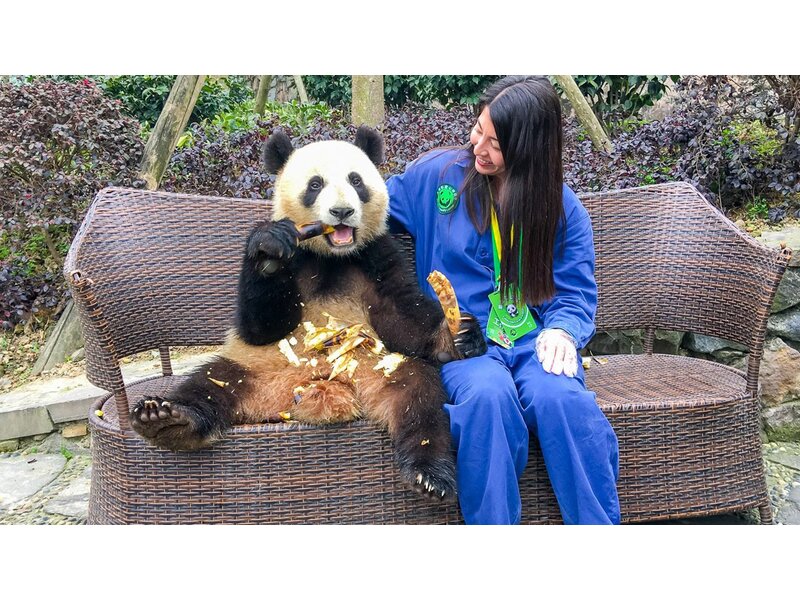 HÀ NỘI - TRÙNG KHÁNH 02 ĐÊM - THÀNH ĐÔ - ĐÔ GIANG YỂN - CỬU TRẠI CÂU