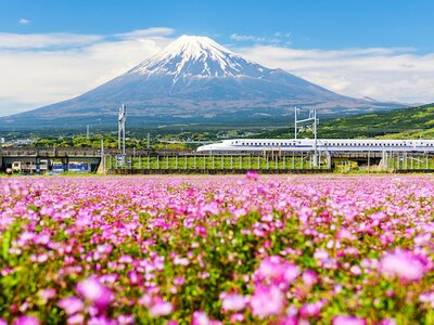 HÀNH TRÌNH VÀNG NHẬT BẢN 2025