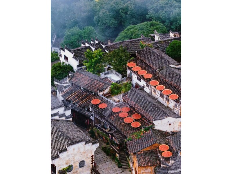 HÀ NỘI - VŨ HÁN - VỌNG TIÊN CỐC - GIANG TÂY